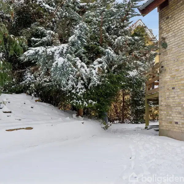 Et snedækket område med træer i baggrunden. Huset med gule mursten og et vindue er til højre. Sne dækker jorden og grenene.