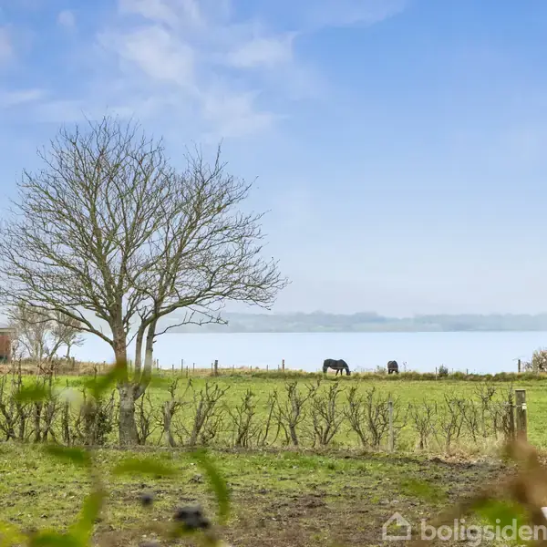 En bar træ står i en grøn mark, mens to heste græsser. I baggrunden ses en sø og en diset horisont.