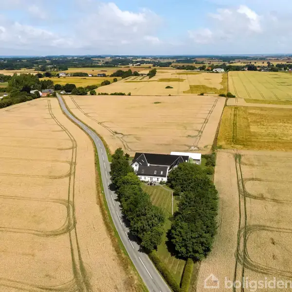 Et hvidt hus omgivet af grønne træer står ved en snoet vej midt i store gyldne marker under en blå himmel med spredte skyer.