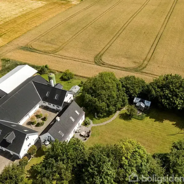 En gård med sorte tage og hvide vægge set fra oven, omgivet af grønne træer og græsarealer, ligger ved siden af en stor gul kornmark under en klar himmel.