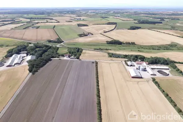 Planteavlsgård/-jord på Sinkbækvej 14, 7660 Bækmarksbro