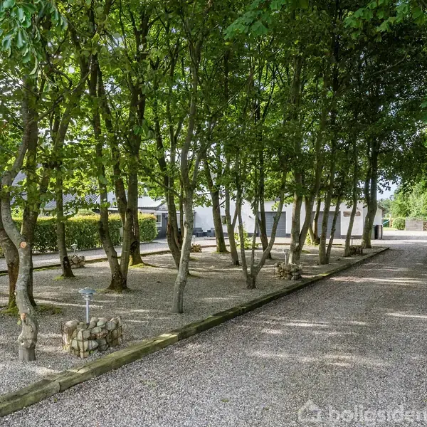 En grusvej omgivet af træer fører til en hvid bygning i baggrunden. Trækantede bede flankerer vejen, der er belyst af sollys gennem trækronerne.