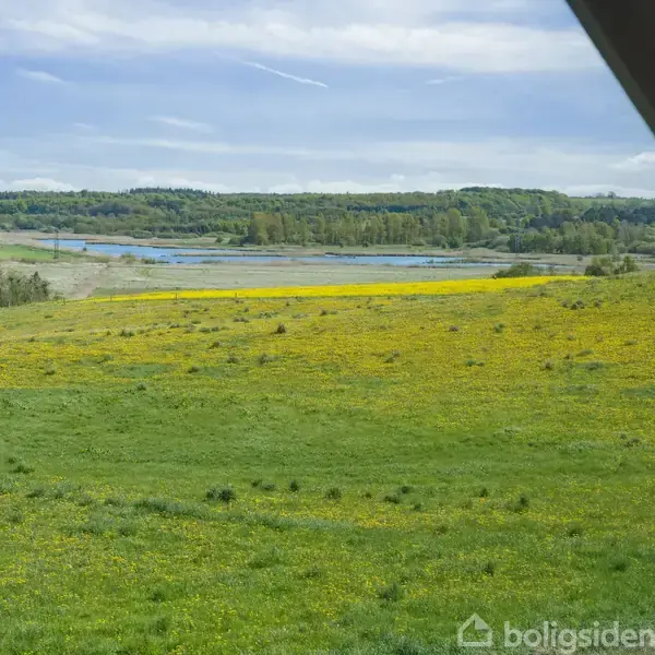 Grønt landskab med gule blomster strækker sig over en mark. I baggrunden ses en sø omgivet af skov. Himlen er blå med lette skyer.