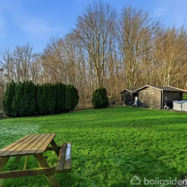 En træbænk står på en grøn græsplæne. I baggrunden ses små træskure og grønne buske foran en række høje, nøgne træer under en klar, blå himmel.