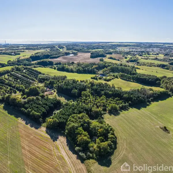 Landskab med store marker og skovområder, set fra luften. Der er spredte træområder og åbne marker under en klar blå himmel. Området strækker sig mod horisonten.