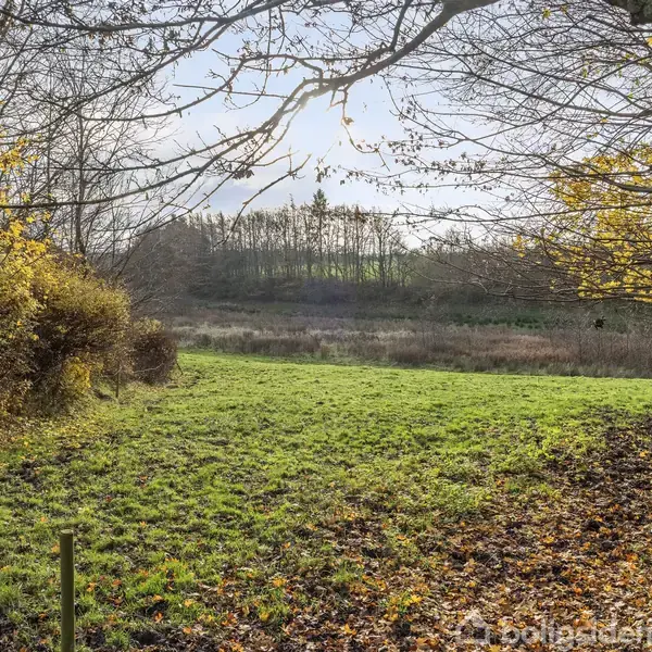 Græsmark strækker sig over landskab, indrammet af nøgne træer og buske med gule blade. Sollys filtrerer gennem skyet himmel, givende en efterårsagtig stemning. Skov ses i baggrunden i horisonten.
