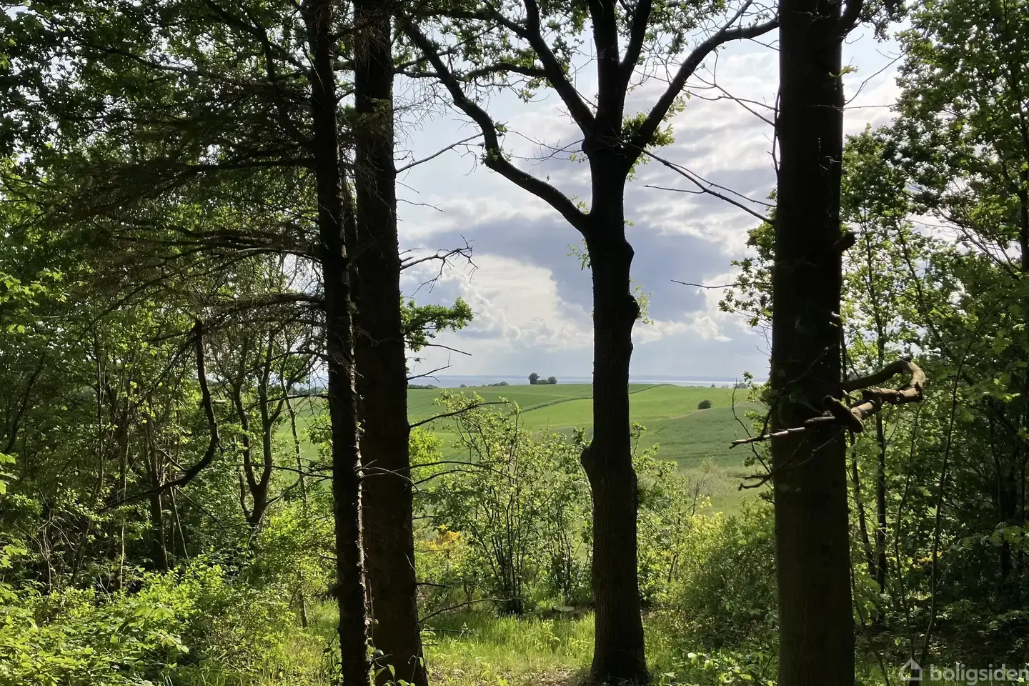 Fritidsgrund på Skovsangervej 4, 8420 Knebel