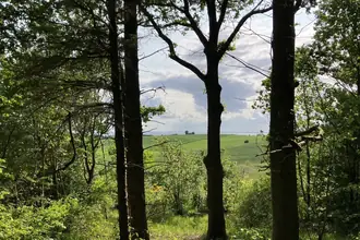 Fritidsgrund på Skovsangervej 4, Begtrup, 8420 Knebel