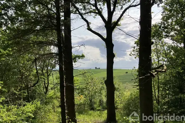 Fritidsgrund på Skovsangervej 4, 8420 Knebel