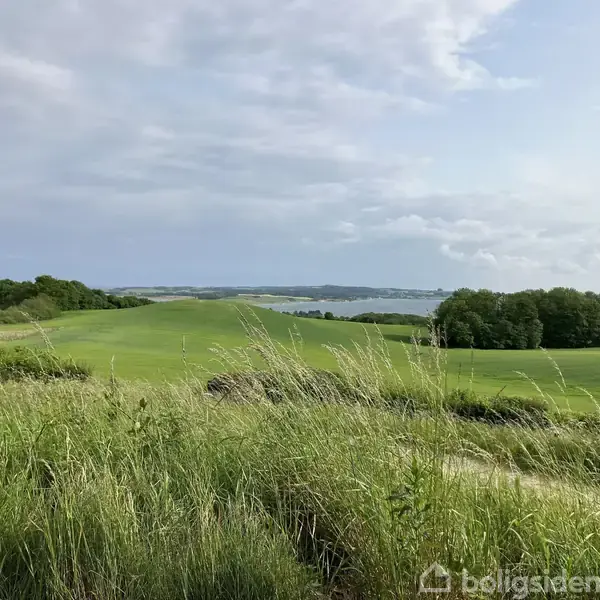 En grøn mark strækker sig mod horisonten med let bølgende bakker, omgivet af træer. I baggrunden ses vand og en skovklædt kystlinje under en skyet himmel.