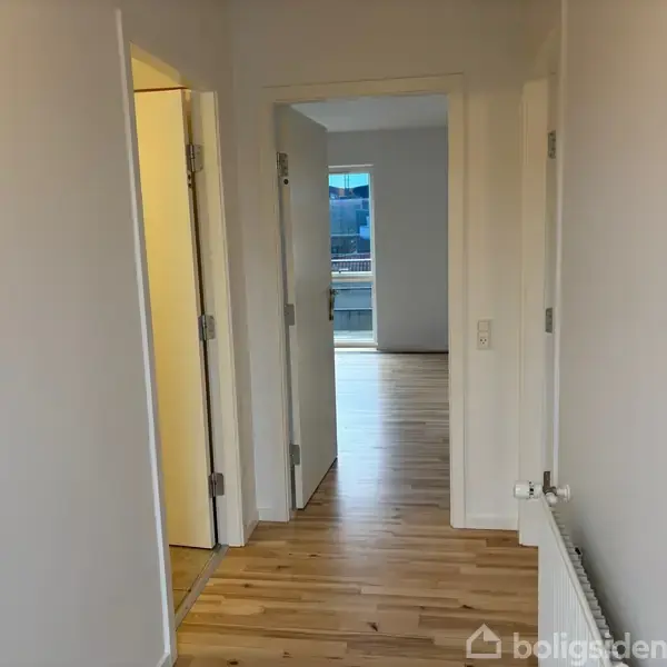 En lys gang med trægulv fører til et åbent rum. To døre til venstre åbner til andre rum. En radiator er monteret på højre væg.