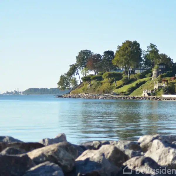 Kystlinje med klipper i forgrunden og en frodig bakke med træer i baggrunden, der strækker sig til en rolig, blå sø. Træer skaber skygge og ro i landskabet.