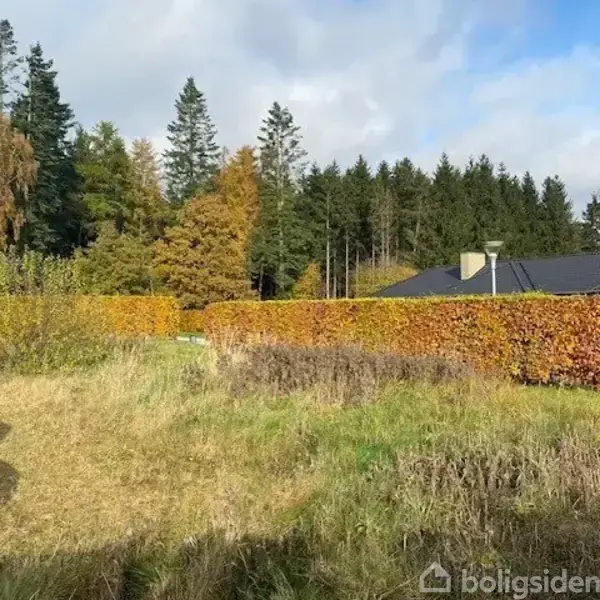 En lav, sort bygning står blandt farverige hække og højt græs, omkranset af tæt skov og træer i efterårsfarver under en overskyet himmel. Ingen tekst fundet.