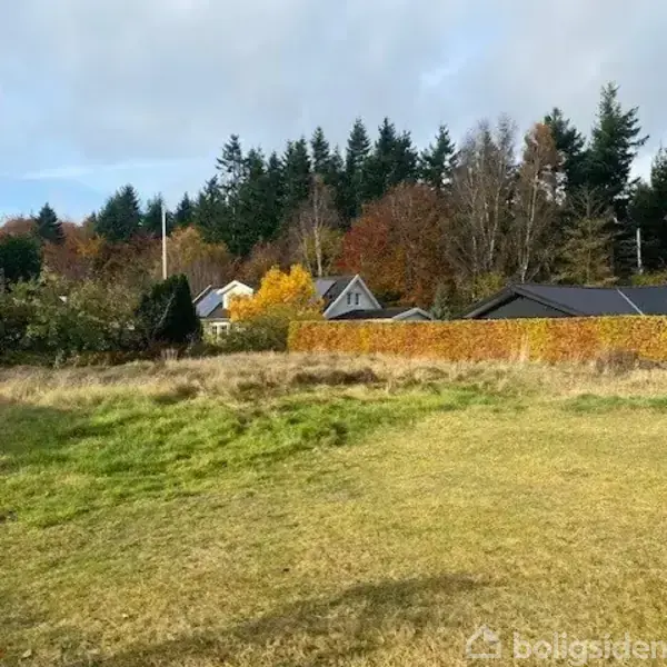 Græsareal i forgrunden, omkranset af hække og træer med efterårsfarver. I baggrunden ses flere huse med skrå tage, omgivet af tæt skov.