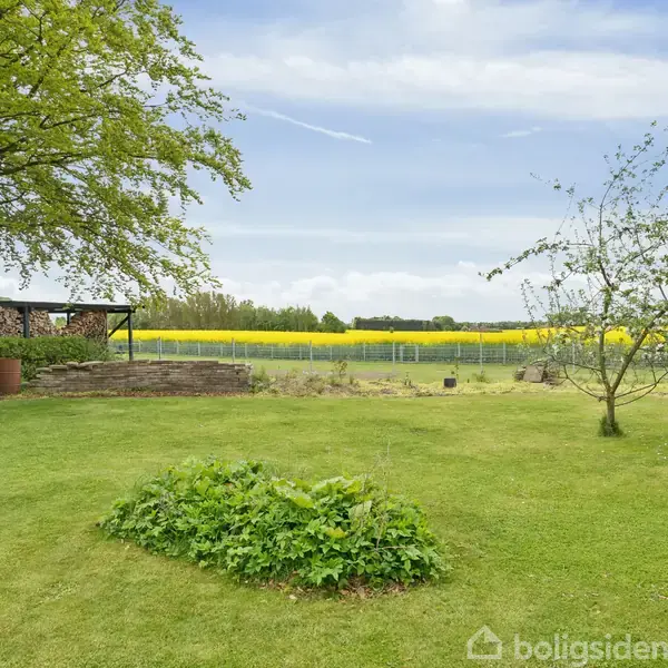 En velplejet græsplæne med en lille plantebed i midten og et par træer i hver side. En stor mark med gule blomster ses i baggrunden under en blå himmel.