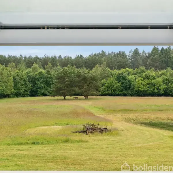 En åben vinduesramme udsigt: Græsmarker strækker sig ud mod en skov i baggrunden. To heste græsser nær et træ, mens en gammel vogn står i forgrunden.