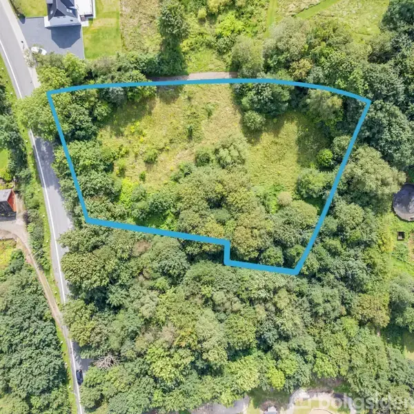 Et luftfoto viser et skovområde omgivet af træer og bush. Et blåt omrids markerer en sektion som sandsynligvis angiver en ejendomsgrænse. En vej løber langs venstre side.