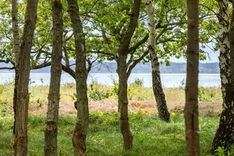 Fritidshus på Fuglsøvej 38, Strandkær, 8400 Ebeltoft