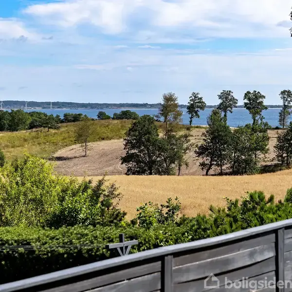 Træer står stille i en landlig mark med udsigt over en sø i horisonten. Forgrund viser en terrasse med grønne buske.