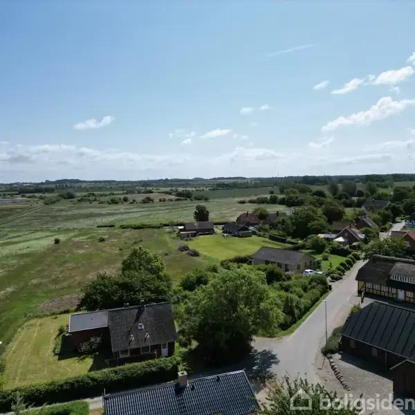 Huse står stille i et grønt, landligt landskab ved siden af en vej, omgivet af marker og spredte træer under en blå himmel med få skyer.