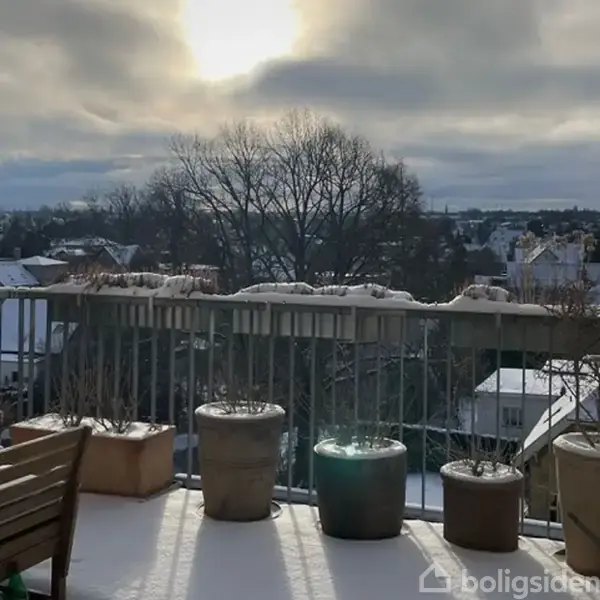 En balkon med blomsterkrukker dækket af sne, står i en bymæssig kontekst med træer og bygninger synlige i baggrunden under en skyet himmel.
