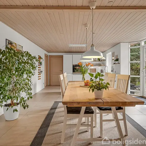 Et spisebord med stole står i et lyst, moderne køkken-alrum. Planter og hængende lampe pynter rummet, som har hvidmalede vægge, trægulv og store vinduer, der lukker naturligt lys ind.
