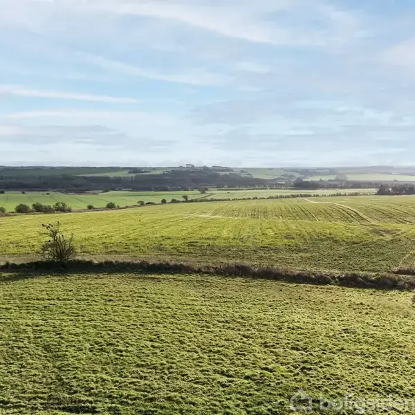 Grønne marker strækker sig i det fjerne under en blå, skyet himmel, og små buske spredes langs kanten i det åbne landskab.