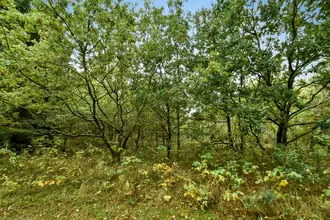 Fritidsgrund på Skovbrynet 133, Vesterlund, 7323 Give