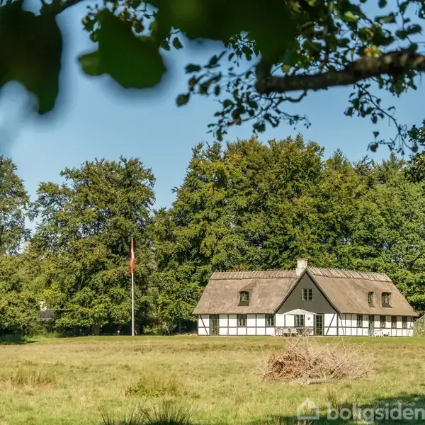 Bindingsværkshus med stråtag står stille på en grøn eng omgivet af træer og en flagstang. Sollys filtreres gennem bladene, skaber en fredfyldt, idyllisk atmosfære.