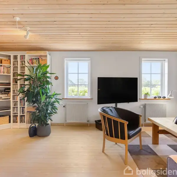 Stue med stort fladskærms-tv hængende på væggen mellem to vinduer. Til venstre ses en fyldt bogreol og en stor grøn plante. Træbord og stole i forgrunden.