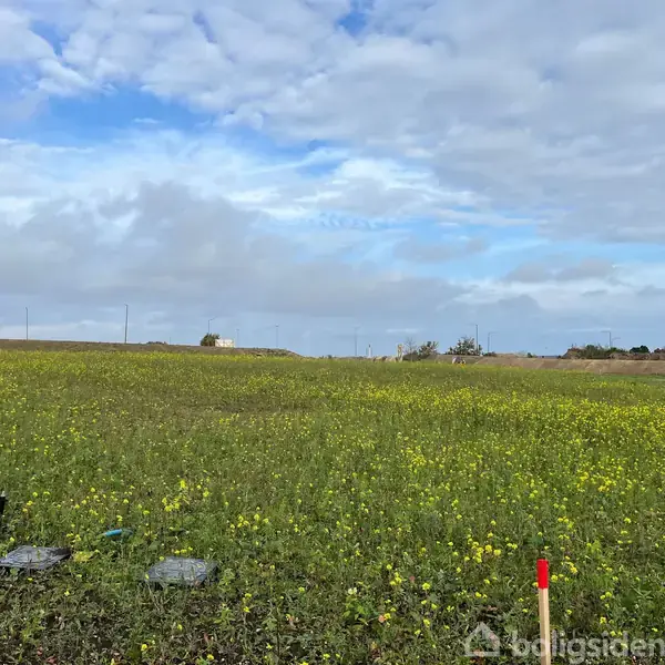 Grønt græs dækker en mark med gule blomster. En klar himmel med skyer skaber en åben landlig scene. Enkelte genstande ligger spredt på jorden.