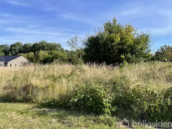 En græsbevokset mark med langt græs står urørt. I baggrunden ses tæt bevoksede træer og buske. Til venstre anes et hus, mens himlen er klar og blå.