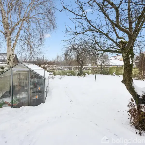 Et drivhus står stille ved siden af et sneklædt træ i en vinterhave. Sne dækker jorden, omgivet af flere træer og et plankeværk. Himmel er klar.