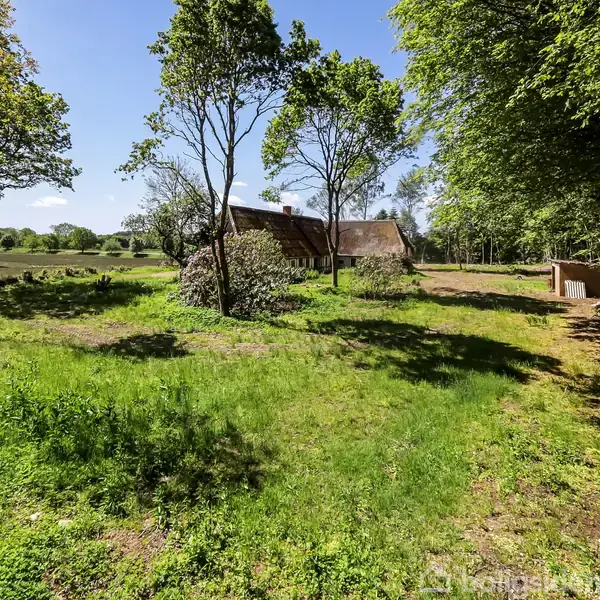 Et hus med stråtag står midt i en grøn have med spredte træer og buske, omgivet af åbent land under en blå himmel.