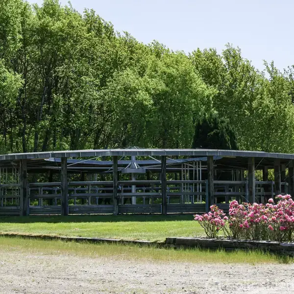 Rund, åben struktur med metalramme står ubenyttet. Omgivet af grønne træer og blomstrende buske i en naturpark. En grusvej er synlig i forgrunden.