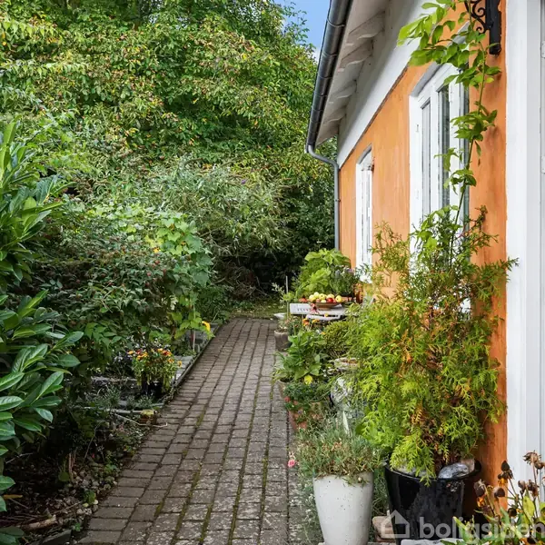 En række af potteplanter står langs en charmerende murstenssti ved siden af et hus med orange facade og hvide døre, omkranset af frodig vegetation og blomster.