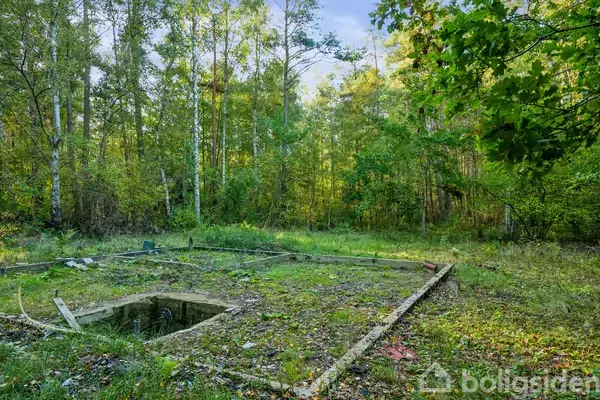 En betonramme omfavner et kvadratisk hul i jorden, dækket af græs og blade, omgivet af en tæt, grøn skov.
