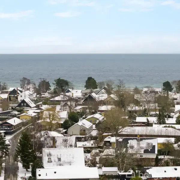 Sneklædte huse står stille i en kystnær by omgivet af træer, med havet og en lys himmel i baggrunden.