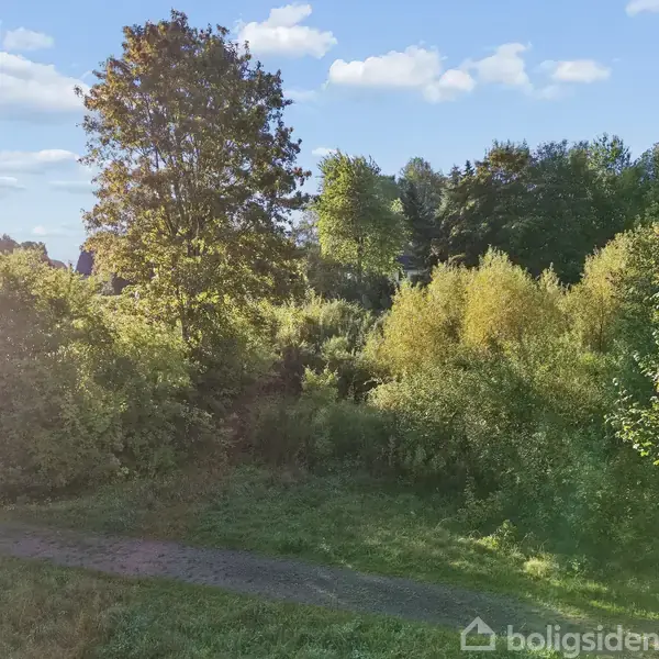 En solbelyst, grøn skov fyldt med træer og buske, omgiver en grussti i et naturlandskab. Enkelte skyer ses på en blå himmel.