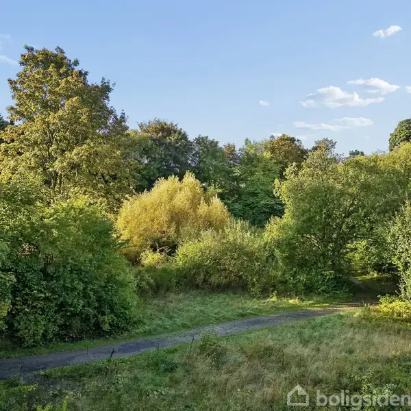 Sti løber gennem frodig park med grønne træer og buske, under en blå himmel med lette skyer.