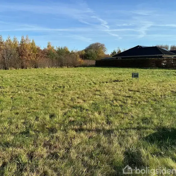 Græsmark med et lille skilt midt i, omgivet af træer og en bolig i baggrunden under en klar himmel.