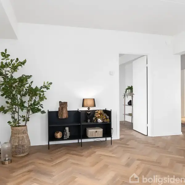 Et sort skab står mod en hvid væg med en bordlampe og dekorationer på. En stor grøn plante til venstre, og rummet har lakeret trægulv.