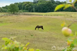 Landejendom på Frydenborgvej 2B, 3400 Hillerød