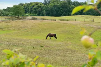 Landejendom på Frydenborgvej 2B, 3400 Hillerød