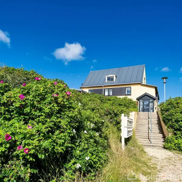 Et hus med en blå, stejl tag står på en bakketop. Det er omgivet af frodig, grøn vegetation med lyserøde blomster. En trappe fører op til indgangen under en blå himmel.