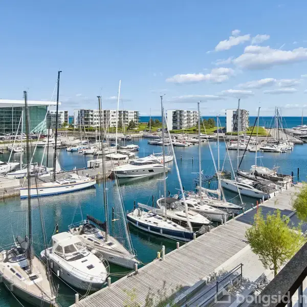 Både ligger fortøjet i en marina, med moderne lejlighedskomplekser i baggrunden og en klar blå himmel. En promenade med træer strækker sig langs kajen.