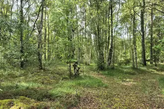 Fritidsgrund på Rådyrvej 15, 9940 Læsø