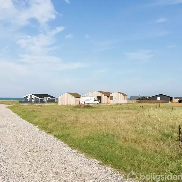 Huse står stille langs en grusvej med græsmark og havet i baggrunden under en skyfri himmel.