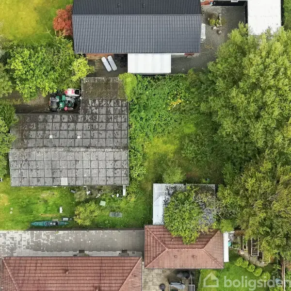 Et hustag ses fra oven dækket med mos og alger, omgivet af en frodig have med træer og græs. Nærliggende huse og en vej skaber et boligkvarter.