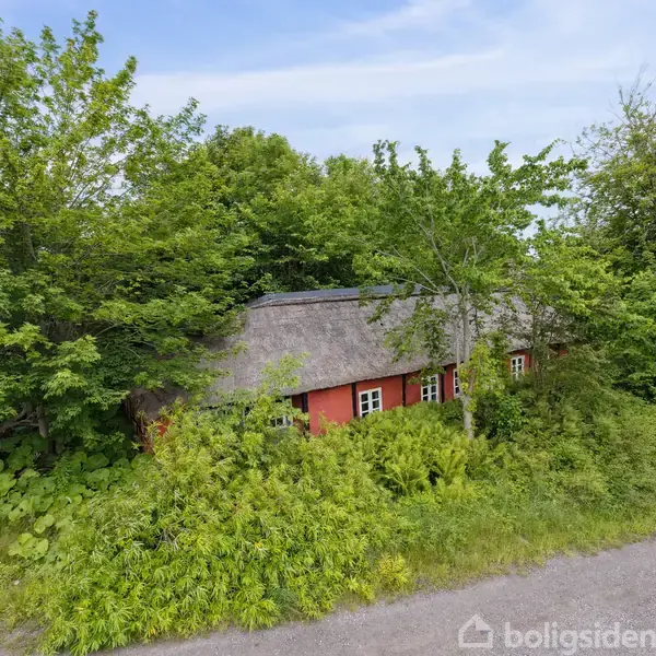 Rødt bindingsværkshus med stråtag skjult blandt tætte, grønne træer og buske. Ligger tæt på en grusvej i en frodig, landlig omgivelser.